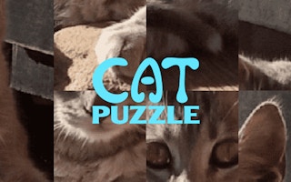 Cat Puzzle Game - Kitty Rebuild Challenge