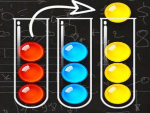 Ball Sort Puzzle Game - Puzzle Game
