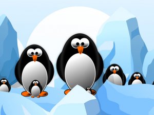 Penguin Slide Puzzle Online Game - Puzzle Game