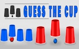 Guess the Cup Challenge