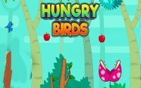 Hungry Birds: Fruit Fly Challenge