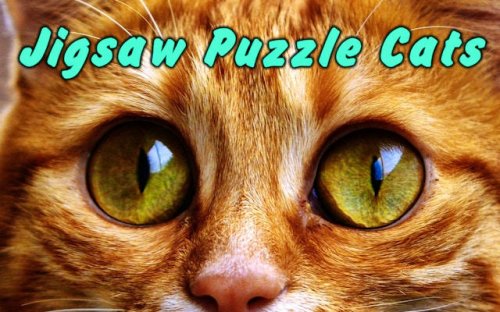 Jigsaw Puzzle Cats - Free Online Brain Game