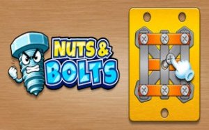 Nuts & Bolts Puzzle Challenge