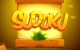Sudoku Levels: Puzzle Brain Game