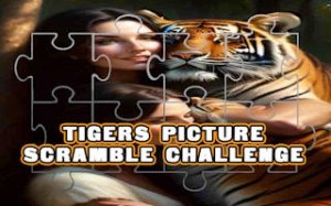 Wildcat Picture Slider